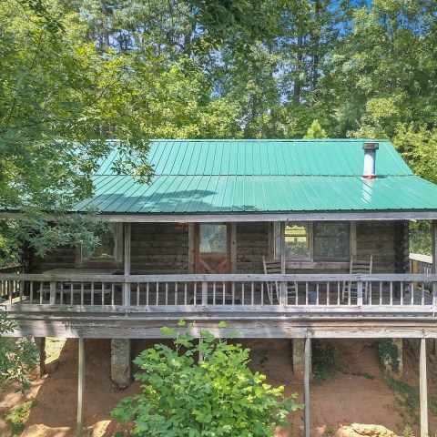 a large green tree in front of a building
