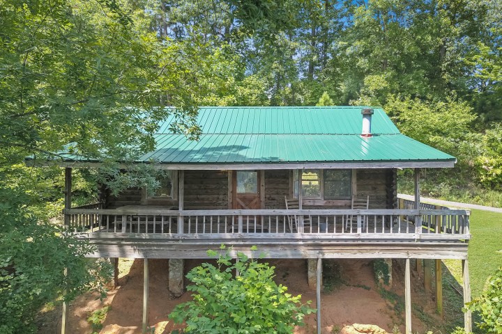 a large green tree in front of a building