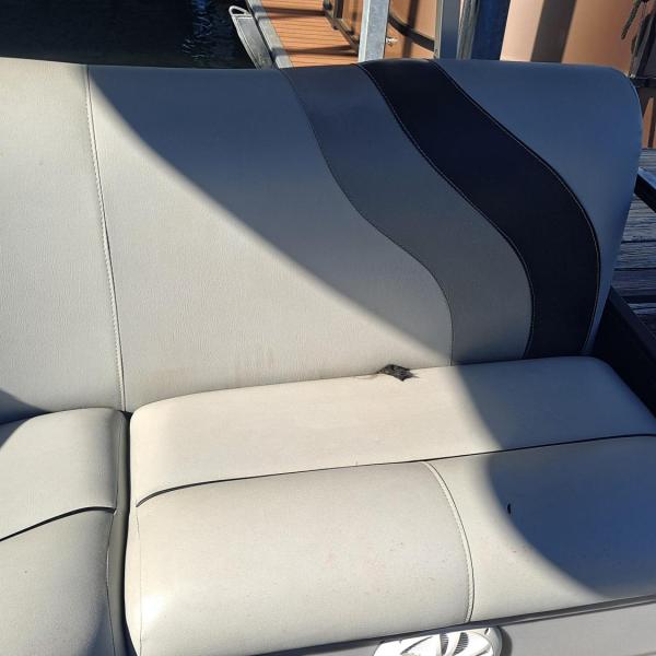 Boat seat with gray and black upholstery in sunlight